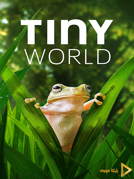 دانلود سریال دنیای کوچک Tiny World 2020 دوبله فارسی