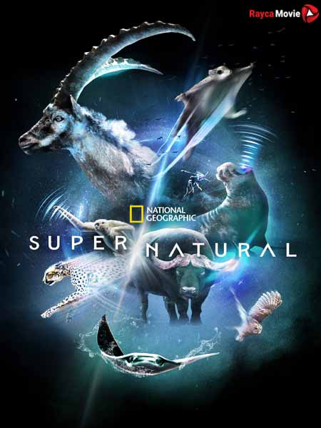 دانلود سریال فوق طبیعی Super/Natural 2022