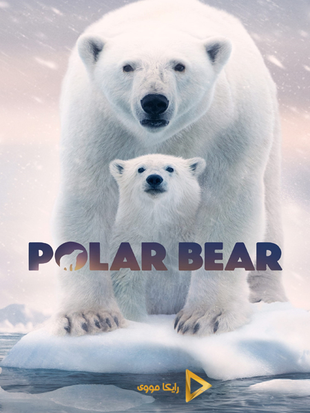 دانلود مستند Polar Bear 2022 خرس قطبی