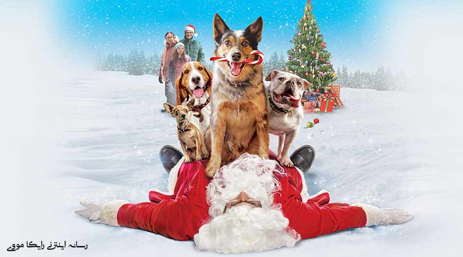 دانلود فیلم Pups Alone 2021 سگهای تنها در خانه دوبله فارسی