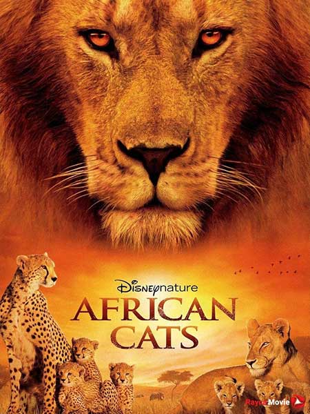 دانلود مستند African Cats 2011 گربه‌های آفریقایی