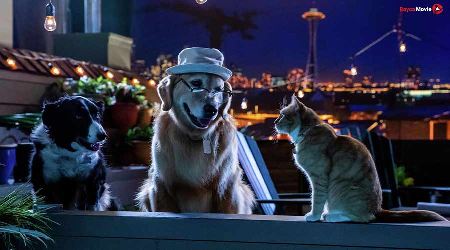دانلود انیمیشن 2020 Cats And Dogs 3: Paws Unit گربه ها و سگ ها 3: اتحاد پنجه ها