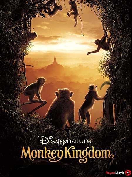 دانلود مستند Monkey Kingdom 2015 قلمرو میمون ها