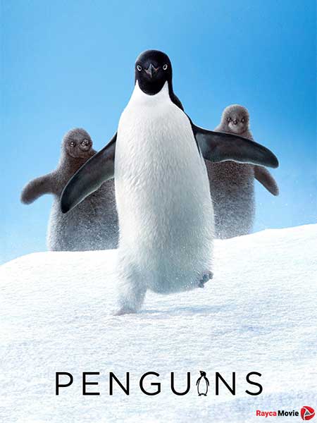 دانلود مستند Penguins 2019 پنگوئن ها