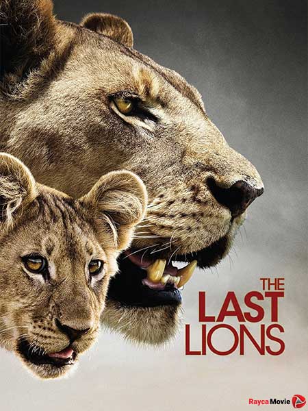 دانلود مستند The Last Lions 2011 آخرین شیرها