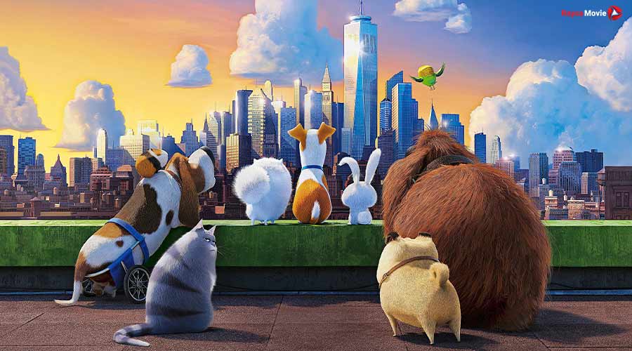 دانلود انیمیشن 2016 The Secret Life of Pets زندگی مخفیانه حیوانات خانگی