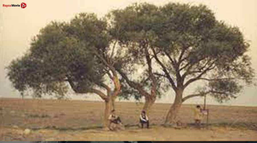 دانلود فیلم نار و نی