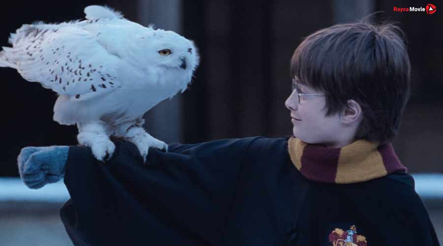 دانلود فیلم Harry Potter and the Philosopher