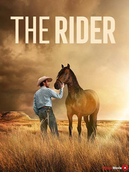 دانلود فیلم The Rider 2017 سوارکار