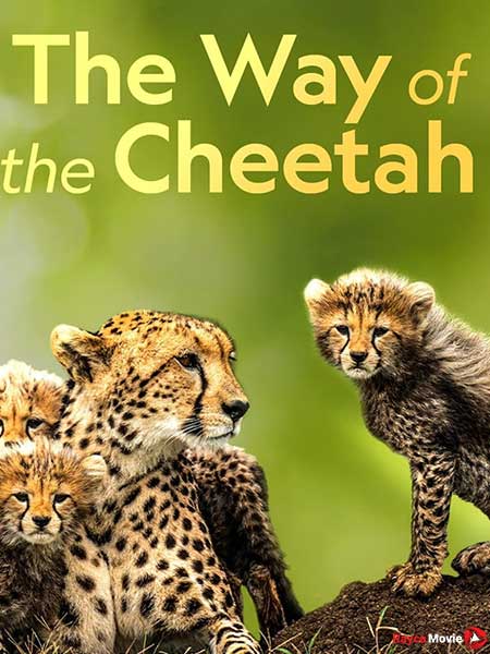 دانلود مستند The Way of the Cheetah2 2022 روش چیتا