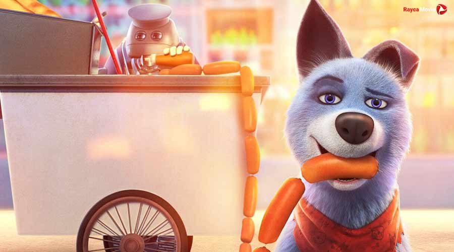 دانلود فیلم Pets United 2019 اتحاد حیوانات خانگی