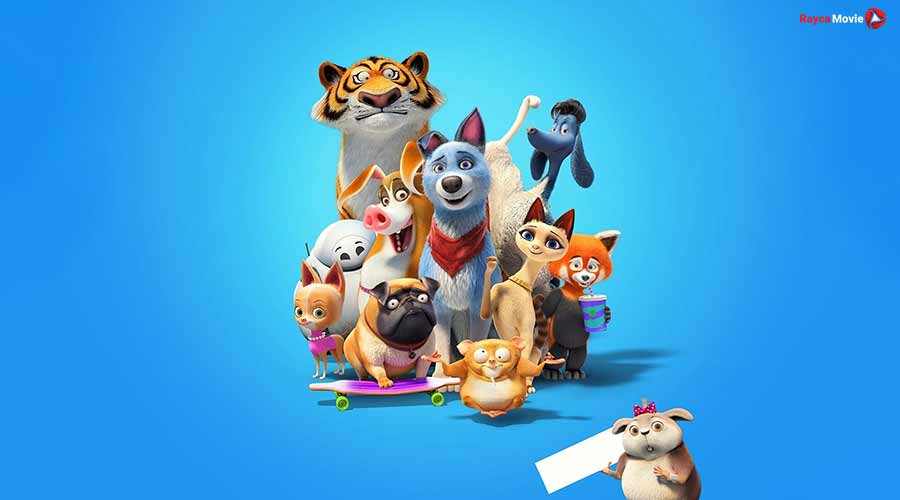 دانلود فیلم Pets United 2019 اتحاد حیوانات خانگی