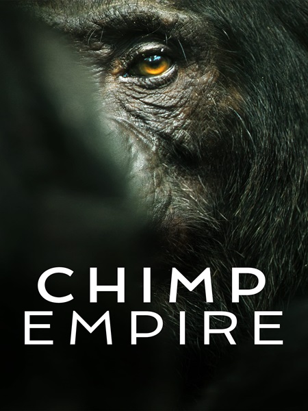 دانلود سریال امپراتوری شامپانزه ها Chimp Empire 2023