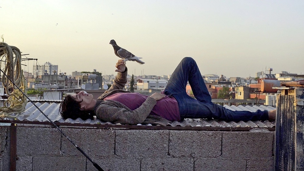 دانلود فیلم The Pigeon 2018 کبوتر