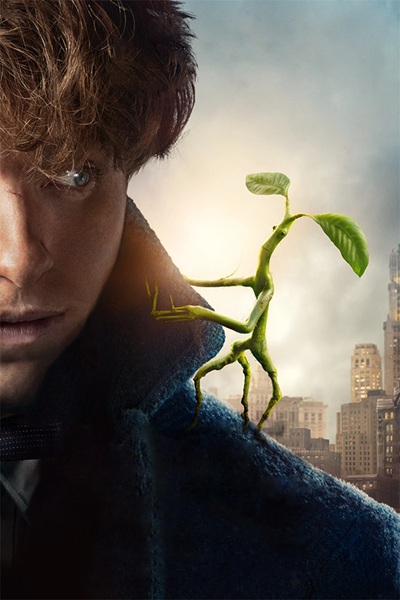 کالکشن جانوران شگفت‌انگیز Fantastic Beasts